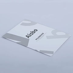 Aisbo Housewife Pillowcases 2 Pack - Light Grey Standard Pillow Case Set of 2, Soft Pair of Microfiber Plain Pillow Cover 50x75 cm with Envelope Closure