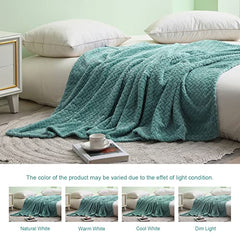Exclusivo Mezcla Large Flannel Fleece Throw Blanket, 127x178 CM Sofa Throws, Soft Jacquard Weave Leaves Pattern Throws for Sofa, Celadon Blanket
